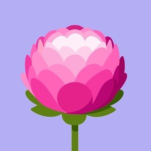 Meet your Posher, Sofia